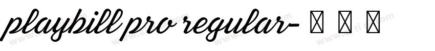 playbill pro regular字体转换
